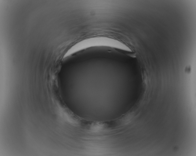 X0000110970235200907022253