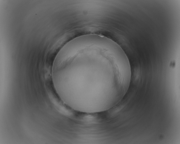 X0000110970236200907022253