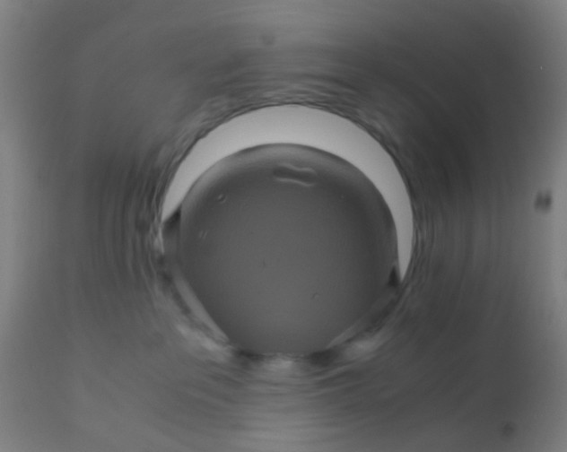 X0000110970237200907022253