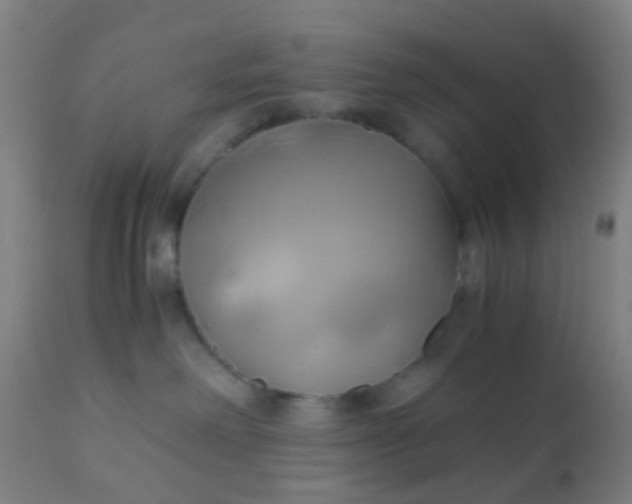 X0000110970238200907022253