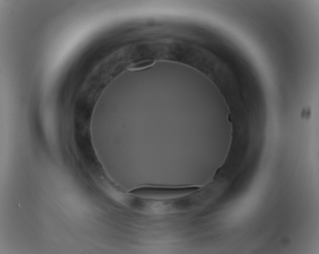 X0000110970239200907022253