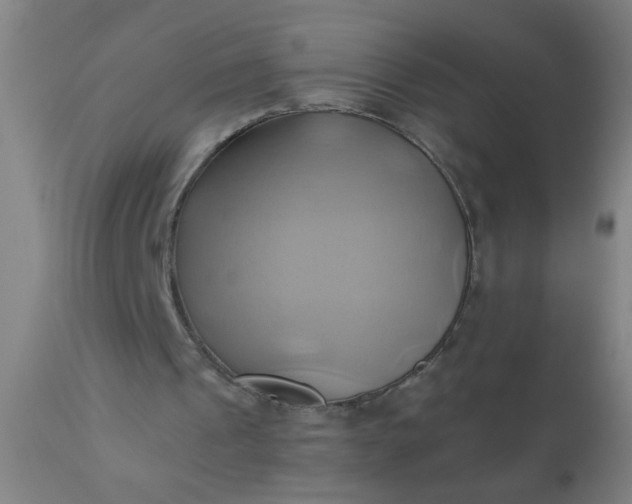 X0000110970241200907022252