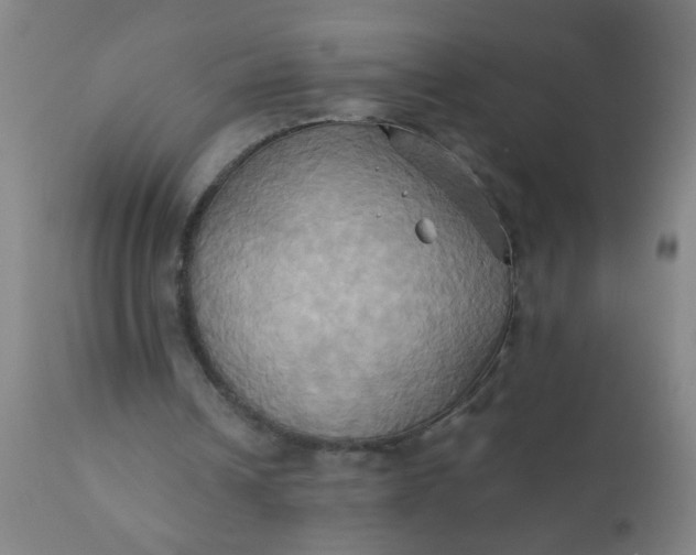 X0000110970242200907022252