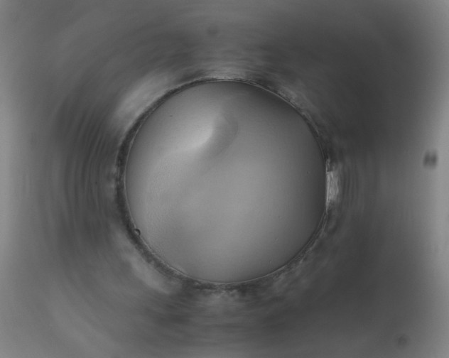 X0000110970243200907022252