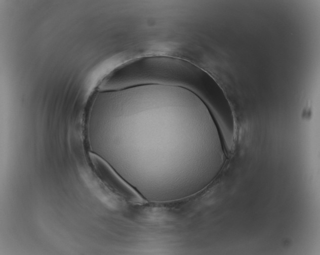 X0000110970244200907022252