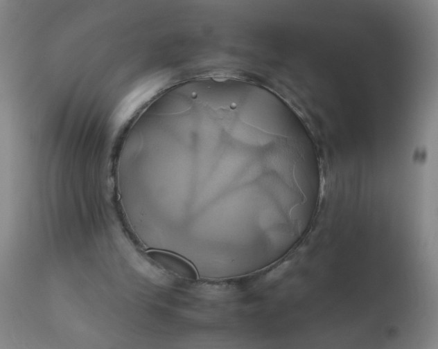 X0000110970245200907022252