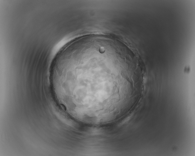 X0000110970246200907022252