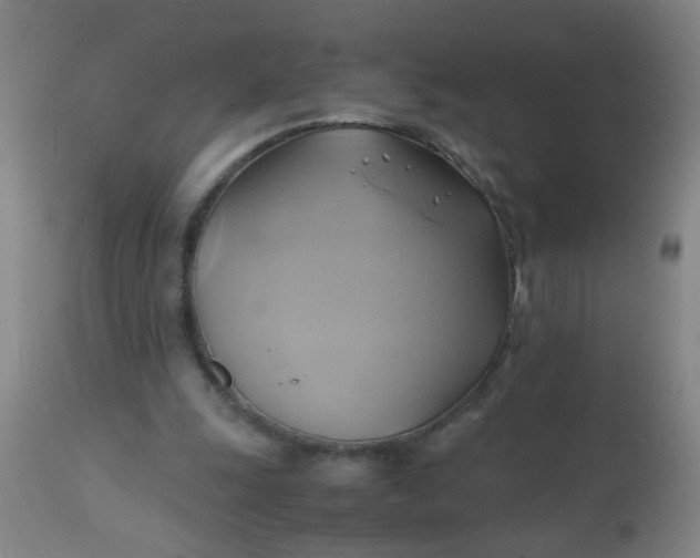 X0000110970247200907022252