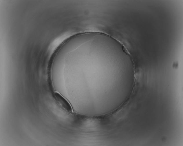 X0000110970248200907022252