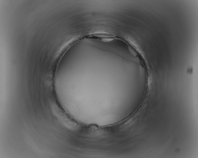 X0000110970249200907022252