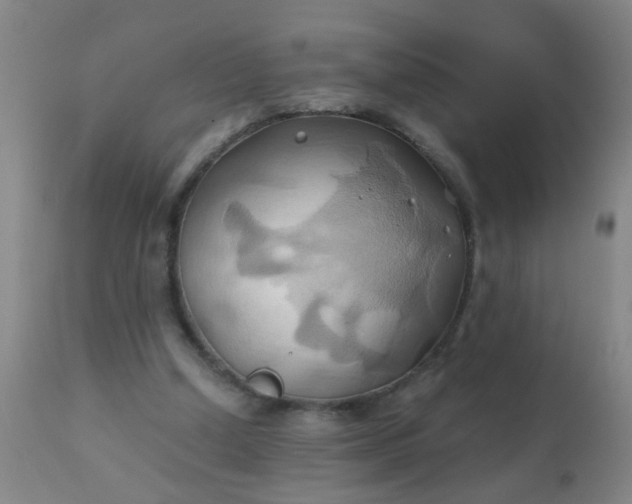 X0000110970250200907022252