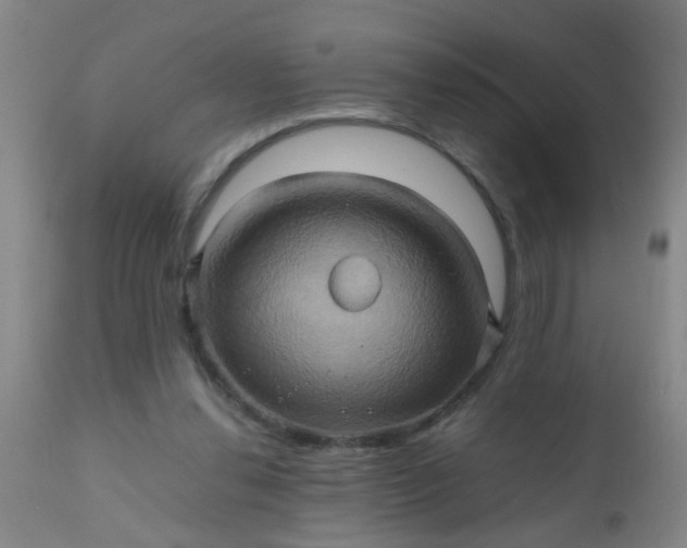 X0000110970252200907022252