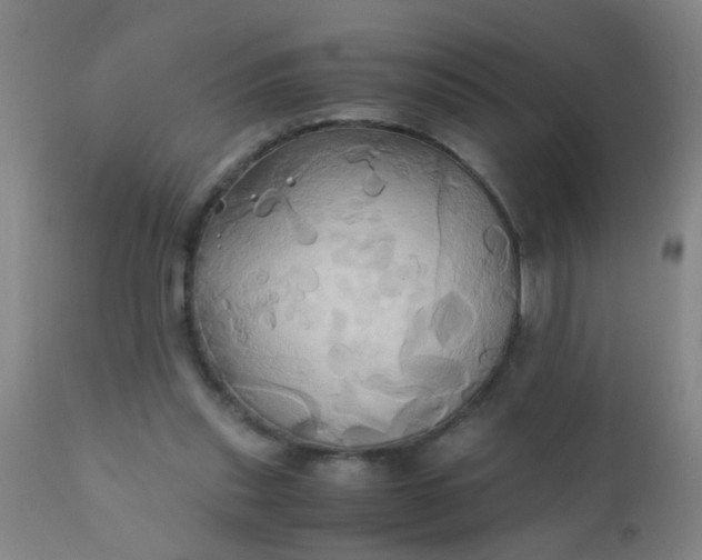 X0000110970253200907022252