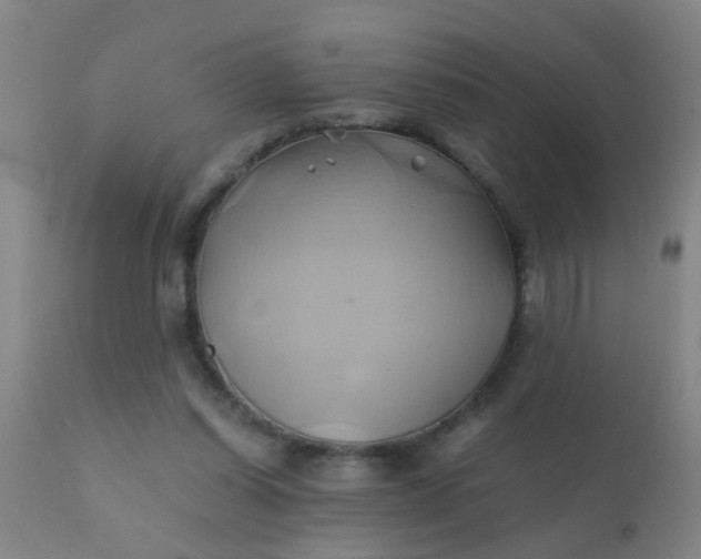 X0000110970254200907022252