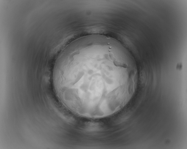 X0000110970255200907022252