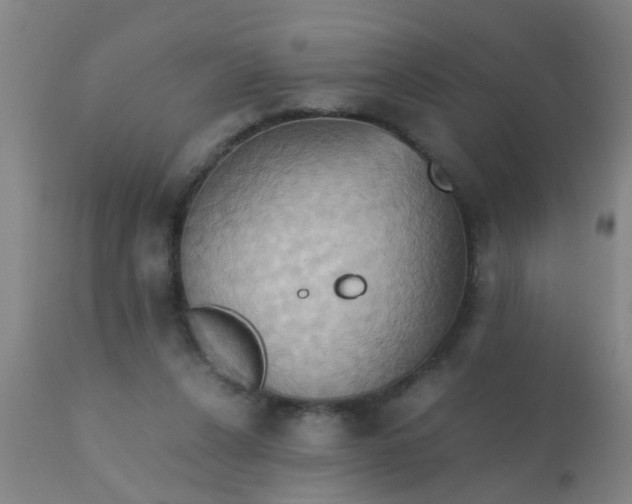 X0000110970256200907022252