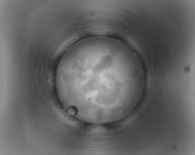 X0000110970258200907022252