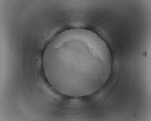 X0000110970259200907022252