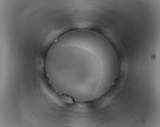 X0000110970260200907022252