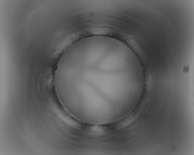 X0000110970261200907022252