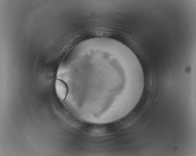 X0000110970263200907022252