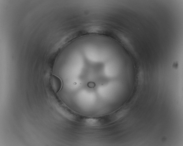 X0000110970265200907022252