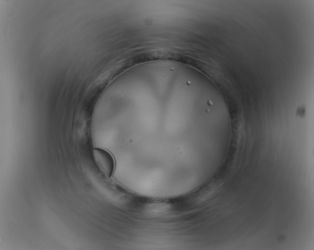 X0000110970266200907022252