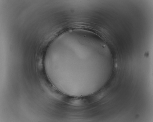 X0000110970267200907022252