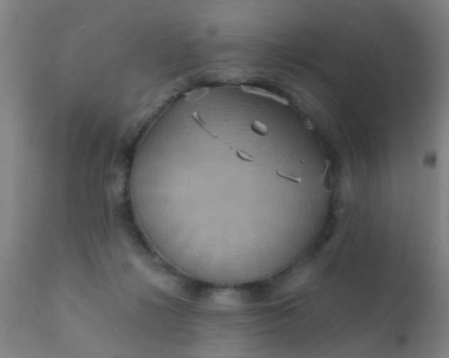 X0000110970268200907022252