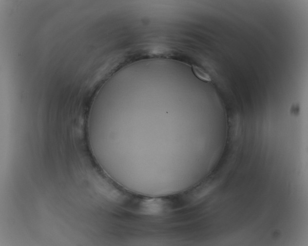 X0000110970269200907022252