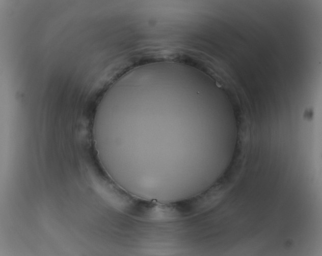 X0000110970270200907022252