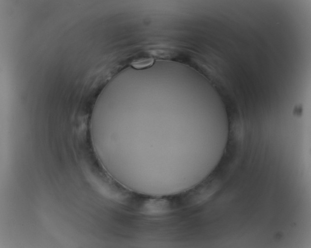 X0000110970271200907022252