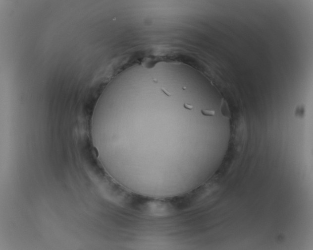 X0000110970272200907022252