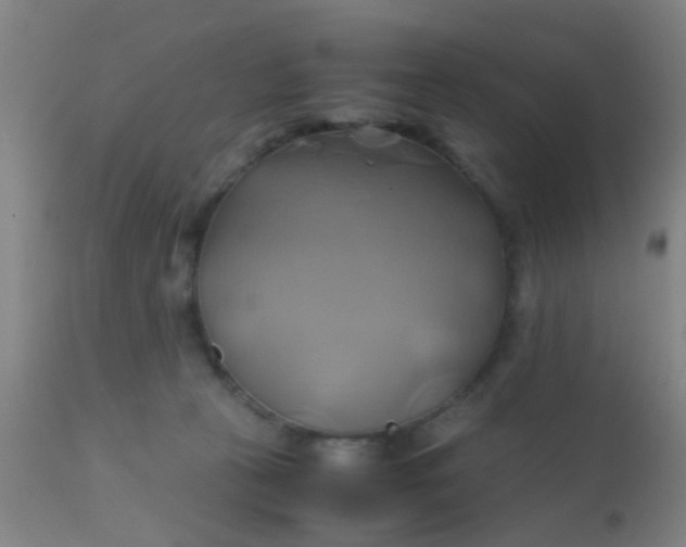 X0000110970273200907022252