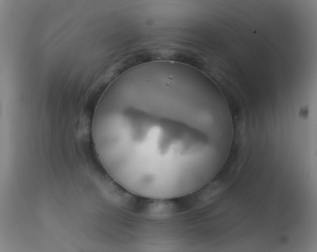 X0000110970274200907022252