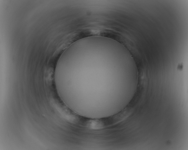 X0000110970275200907022253