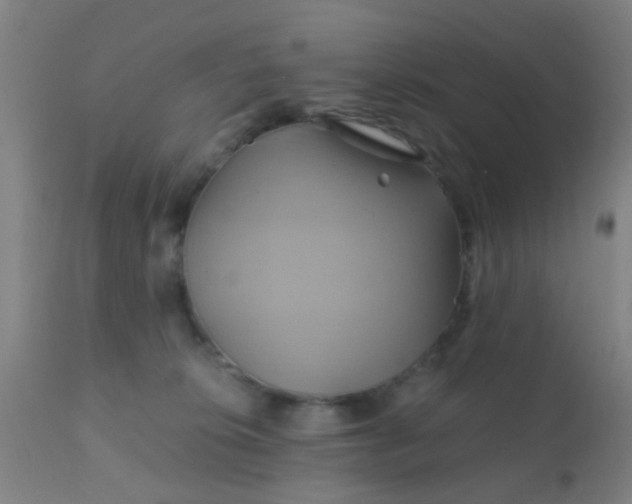 X0000110970276200907022253