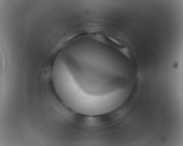 X0000110970277200907022253