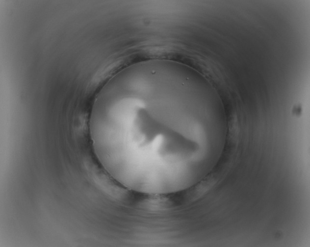 X0000110970278200907022253