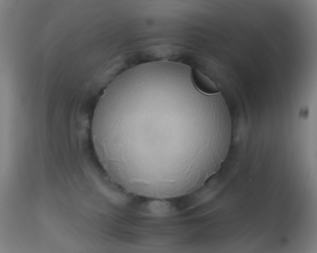 X0000110970279200907022253