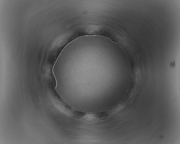 X0000110970280200907022253