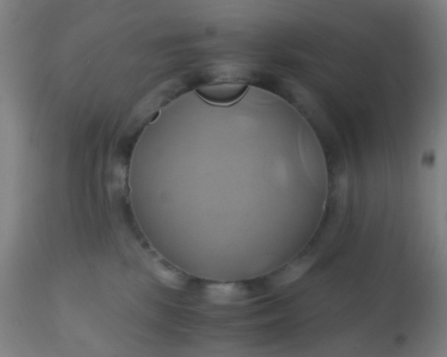 X0000110970281200907022253