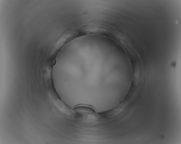 X0000110970282200907022253