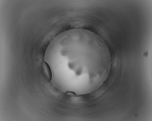 X0000110970283200907022253