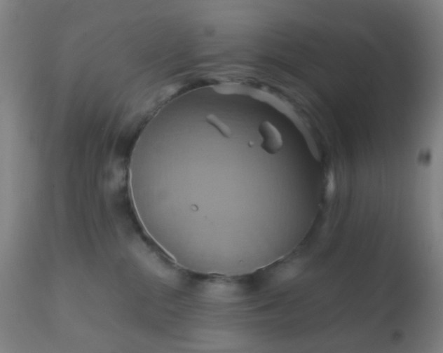 X0000110970284200907022253