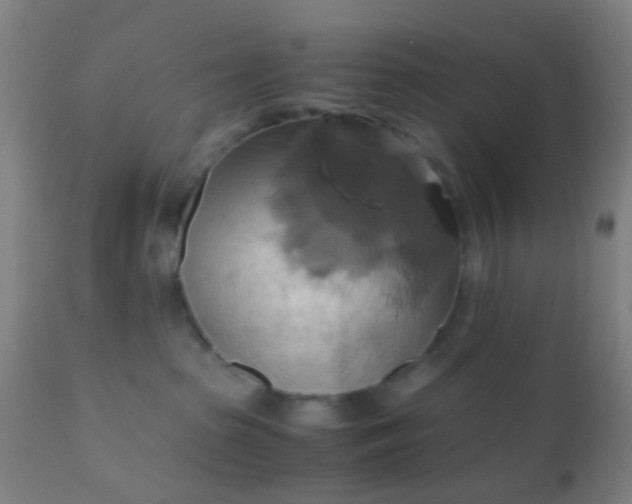 X0000110970285200907022253