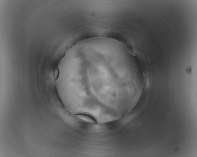 X0000110970286200907022253