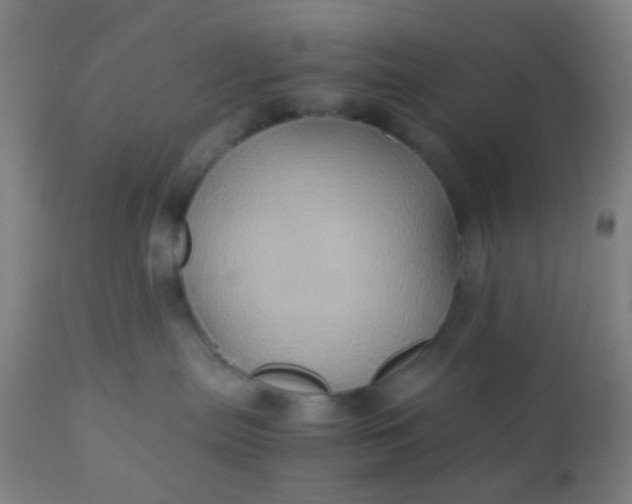 X0000110970287200907022253