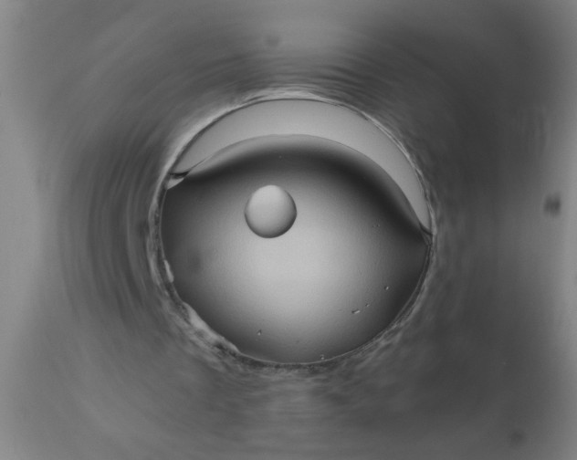 X0000110970289200907022252