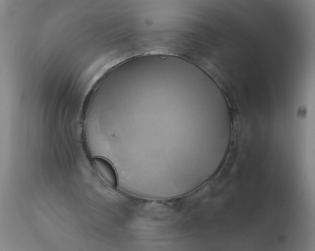 X0000110970290200907022252